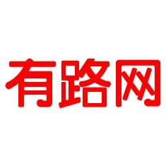 有路网